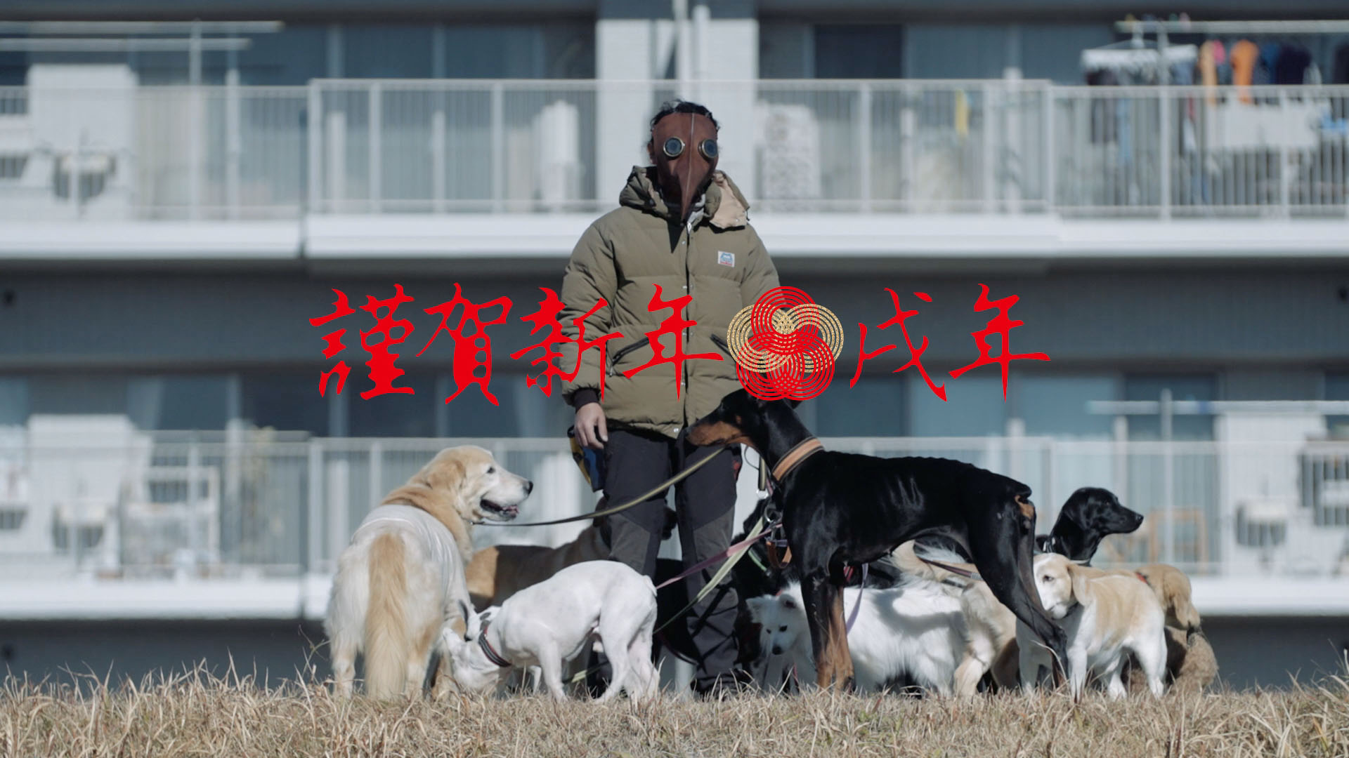 謹賀新年 戌年